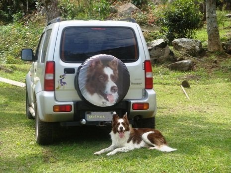 Capa para estepe personalizada