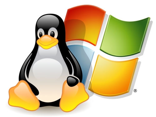 Escolher entre Windows ou Linux