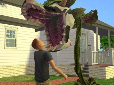 Dicas The Sims vida de Universitário