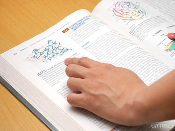 Estudo de biologia