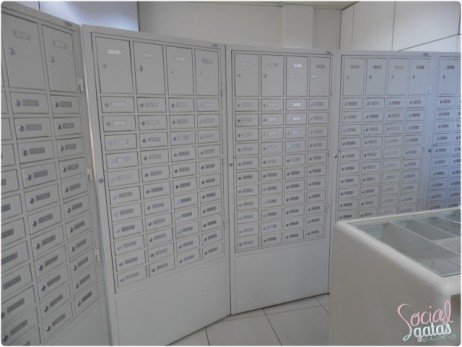 Usando serviços de caixa postal no exterior