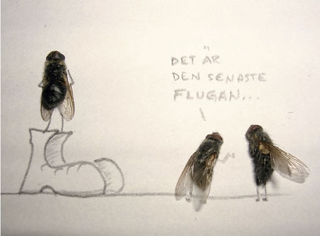 Arte com moscas