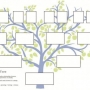 Como descobrir sua árvore genealógica completa?